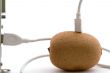 The kiwifruit connected through usb cable