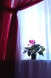 Window with flower