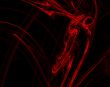 Red abstract background design