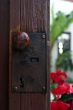 Door closeup