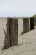 Old Fence Poles