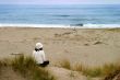 Watching The Ocean
