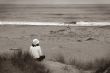 Watching The Ocean bw