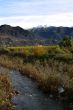 Ojai Valley 10