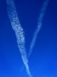 V-Sky
