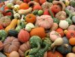 Harvest