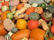 Harvest