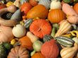 Harvest