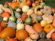 Harvest