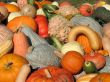 Harvest