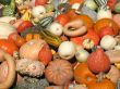 Harvest