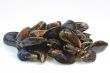 Raw Seafood