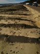 ridged Beach