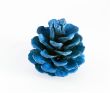 blue pinecone