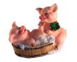 Two pigs wash in tub