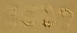 Footprint on sand