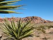 Red Rock Canyon, Nevada