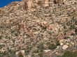 Red Rock Canyon, Nevada