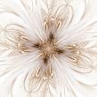 Layered Intricate, Light