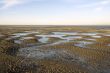 low tide at the beach