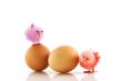 easter chickens and eggs