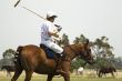 playing polo