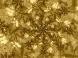 backdrop for your designs