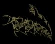 fractal