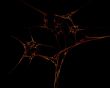 fractal