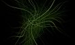 fractal