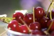 Red berry