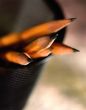 Office pencils
