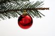 Christmas decoration on the tree