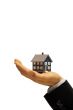 Little house in hand