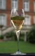 Glass of champaign