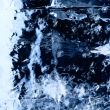 The ice