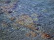 Sea texture