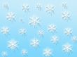 Snow flakes