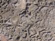 Wall texture