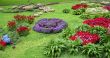 Flowerbed