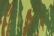 Camouflage