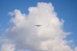 Plane on a blue and cloudy sky