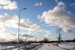 Trees and fields along rural road in the winter