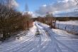 Trees and fields along rural road in the winter