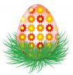 An egg