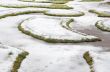 Lawn in winter