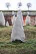 Wintering of the decorative plants