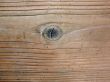 Wood Texture