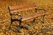 bench in autumn