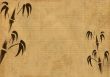 Sheet of an old rice paper with figure of a bambo